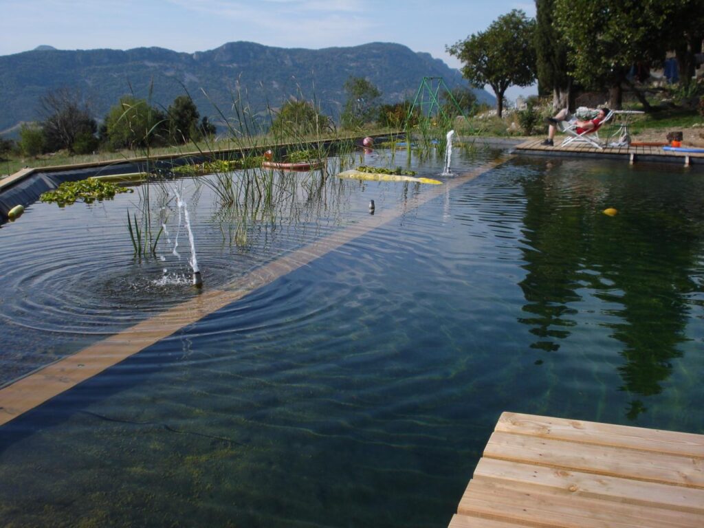 bassin naturel construction de piscine bio et naturelle